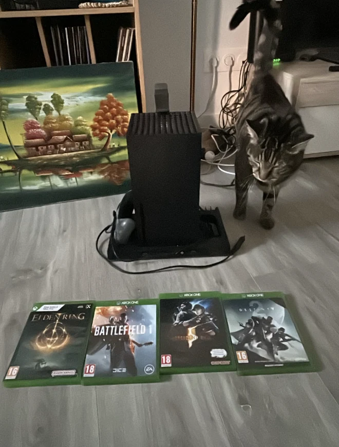 Photo d’origine : Xbox Series X noire avec un chat à l’arrière-plan.